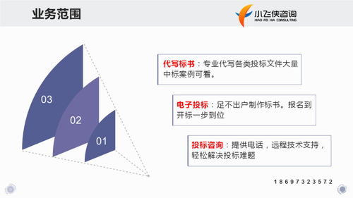 2021云浮新兴代写标书,标书500起,做工程造价