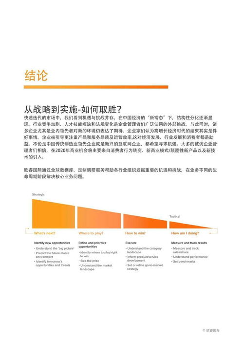 报告 眺望中国商业的未来 企业管理者洞见