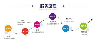 发酵饼干绿色食品认证 临智略企业管理