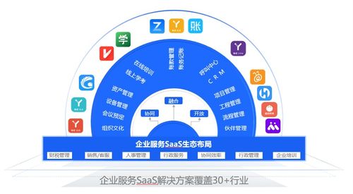 光云科技上半年saas产品收入同比增长17 ,企服saas成第三增长曲线